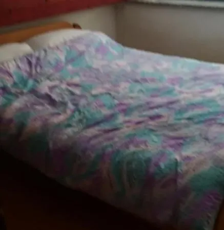 Apartmaji Pipan * Dobrova